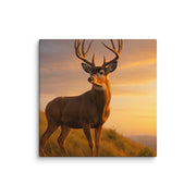 Canvas - From Sea To Shining Art