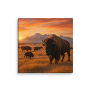 Canvas - From Sea To Shining Art