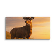 Canvas - From Sea To Shining Art