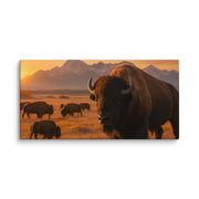 Canvas - From Sea To Shining Art