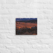 Canvas - From Sea To Shining Art