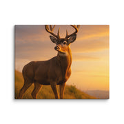 Canvas - From Sea To Shining Art