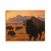 Canvas - From Sea To Shining Art