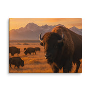 Canvas - From Sea To Shining Art