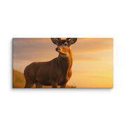 Canvas - From Sea To Shining Art