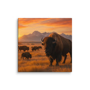 Canvas - From Sea To Shining Art