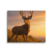 Canvas - From Sea To Shining Art