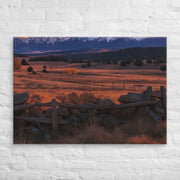 Canvas - From Sea To Shining Art