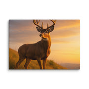 Canvas - From Sea To Shining Art