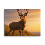 Canvas - From Sea To Shining Art