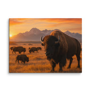 Canvas - From Sea To Shining Art