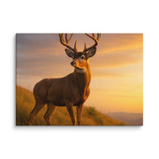 Canvas - From Sea To Shining Art