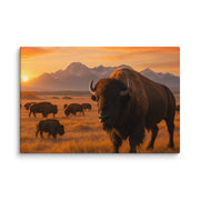 Canvas - From Sea To Shining Art