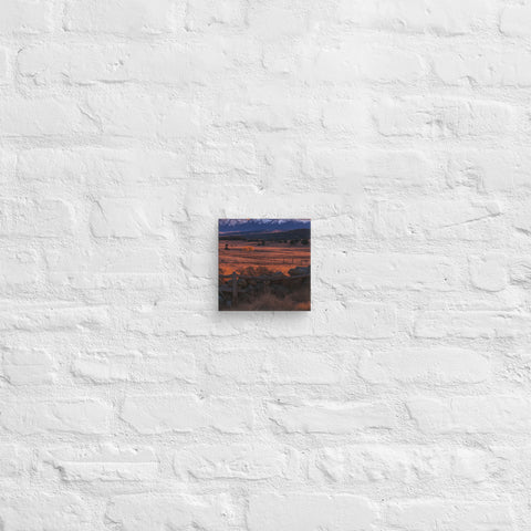 Canvas - From Sea To Shining Art