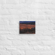 Canvas - From Sea To Shining Art