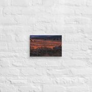 Canvas - From Sea To Shining Art