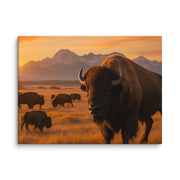 Canvas - From Sea To Shining Art