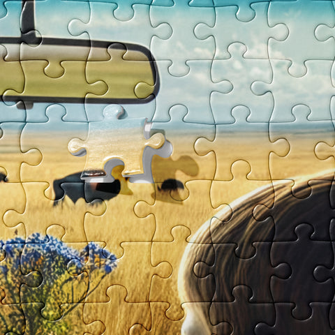 Jigsaw puzzle - From Sea To Shining Art