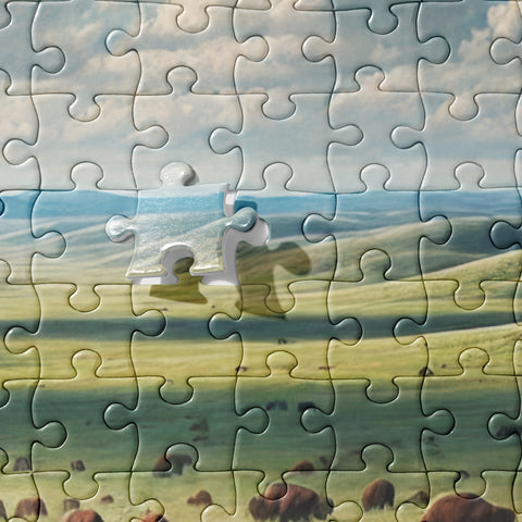 Jigsaw puzzle - From Sea To Shining Art