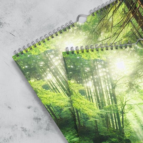 Wall calendar (2025) - From Sea To Shining Art